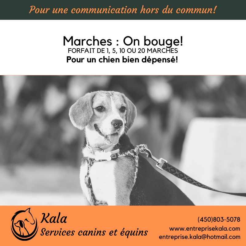 Kala, Services Canins et Équins - Éducation et Dressage- Laval | 368 Rue de Villandraut, Laval, QC H7K 3R2, Canada | Phone: (450) 803-5078