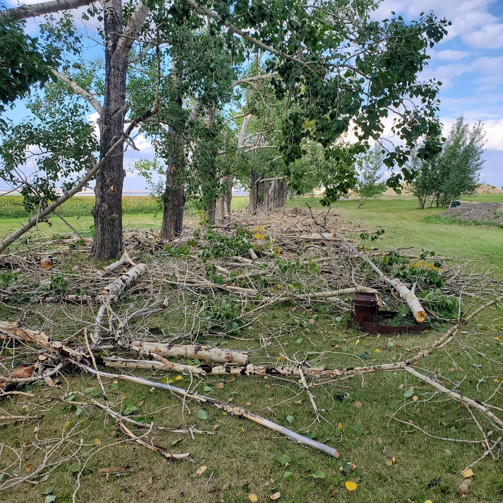 Positive Pruning & Maintenance | Strathford Pl, Strathmore, AB T1P 1S4, Canada | Phone: (403) 608-4762