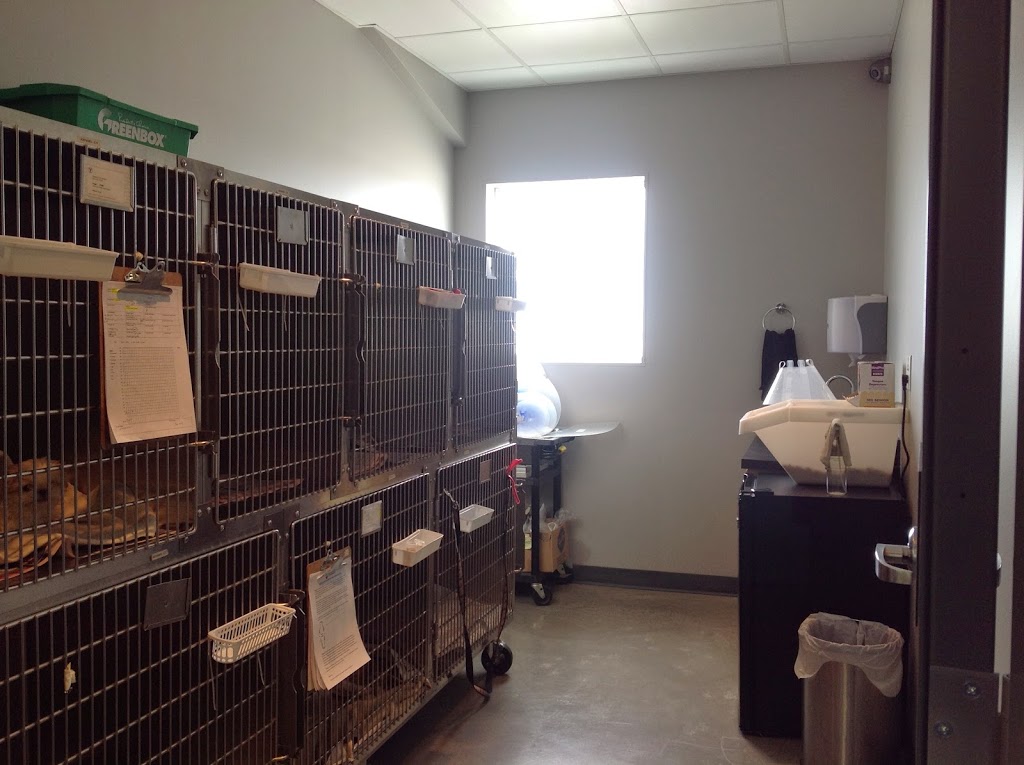 Animal Care Centre of Strathmore | Range Rd 254, Strathmore, AB T1P 1J6, Canada | Phone: (403) 901-1800