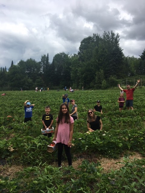 Ferme fruitière Sévigny | 291 Chemin de la Rivière, Saint-François-Xavier-de-Brompton, QC J0B 2V0, Canada | Phone: (819) 845-2297