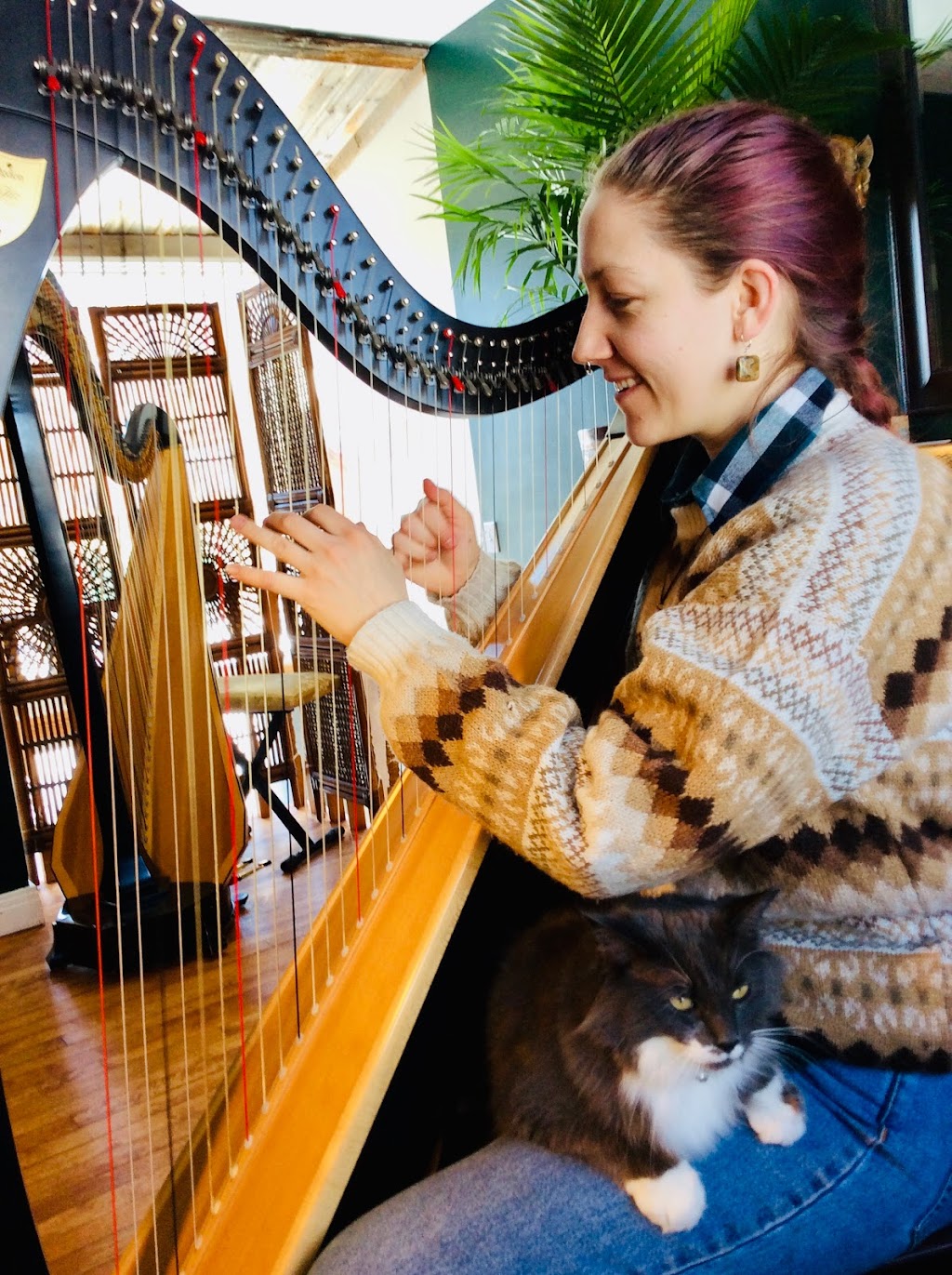 Harp on the Hill Studio | 126 Av. Hillcrest, Lachine, QC H8R 1J2, Canada | Phone: (514) 735-3970
