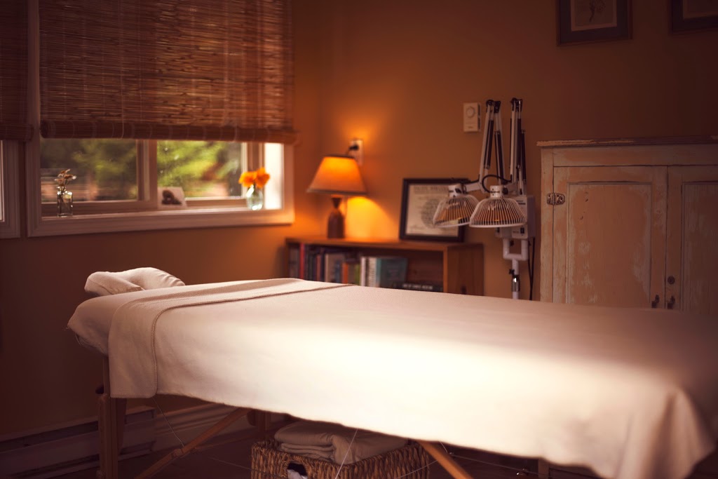 Oceanside Acupuncture & Massage Therapy | 1083 Middlegate Rd, Errington, BC V0R 1V0, Canada | Phone: (250) 228-4229