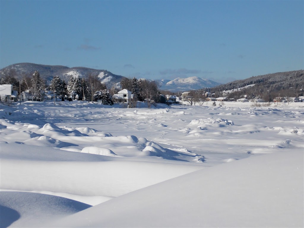 SAIL Plein Air | 5200 Boulevard des Gradins, Québec, QC G2J 0B8, Canada | Phone: (418) 476-7777