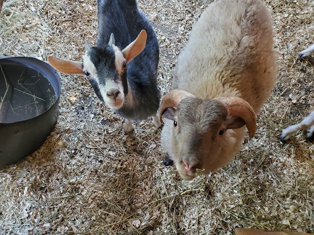 Verger de la Petite Ferme | 11388 Côte des Bouchard, Mirabel, QC J7N 2E5, Canada | Phone: (450) 258-3406