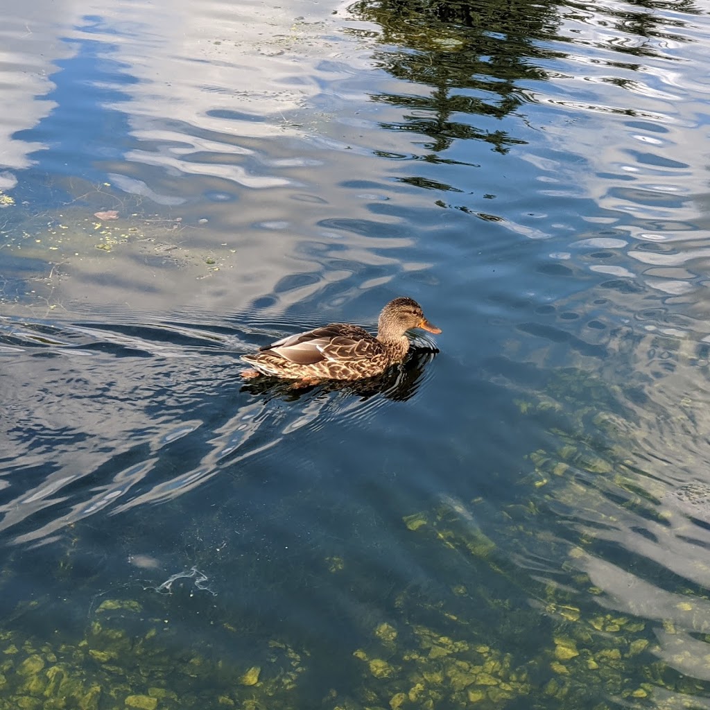 Assiniboine Park Duck Pond Shelter | Assiniboine Park, Winnipeg, MB R3P 2N8, Canada | Phone: (204) 927-6000