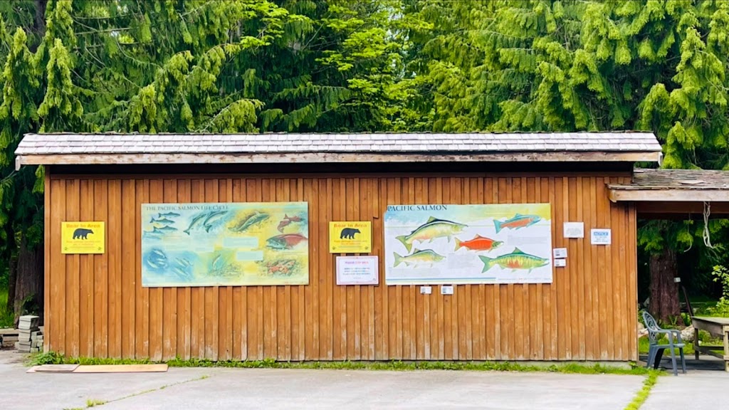 Tlaamin Salmon Hatchery | 5073 BC-101, Powell River, BC V8A 0B6, Canada | Phone: (604) 483-4111