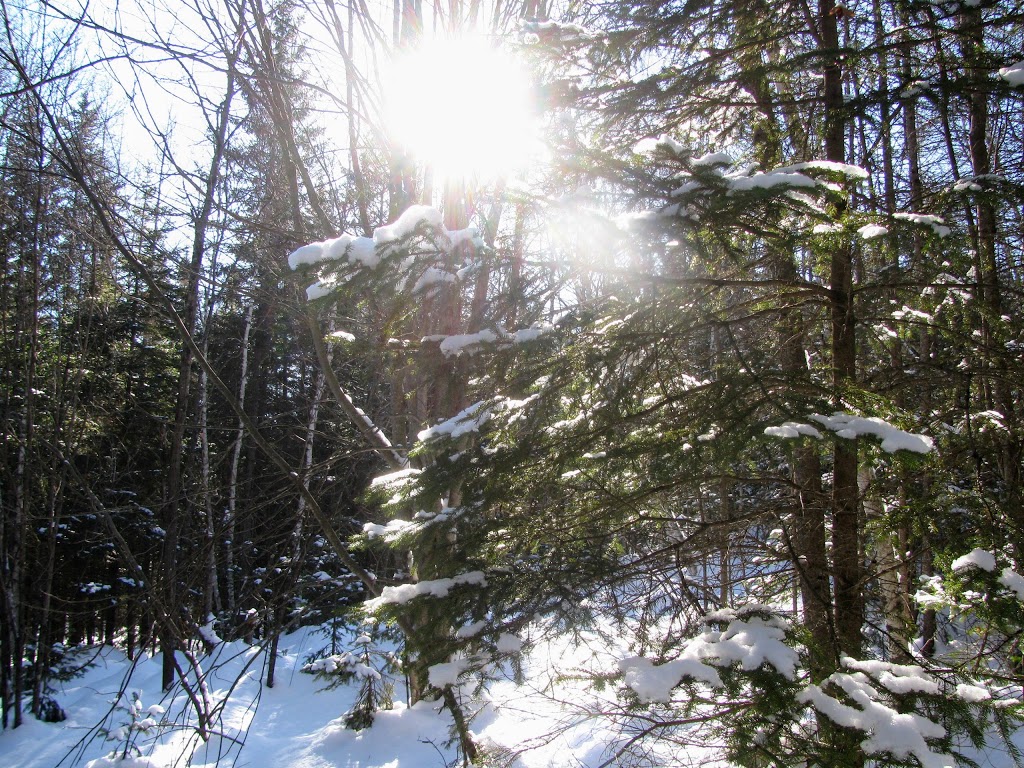 Sentiers de lAmitié | Avenue de lAmitié, Chertsey, QC J0K 3K0, Canada