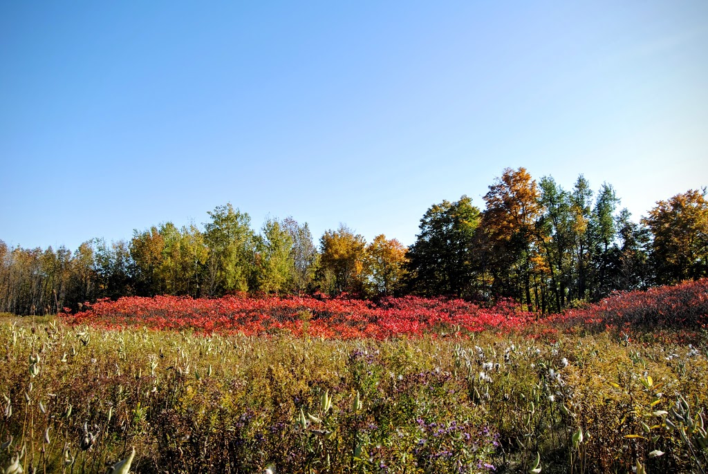 Forks of the Credit Provincial Park | 17760 McLaren Rd, Caledon, ON L7K 2H8, Canada | Phone: (705) 435-2498