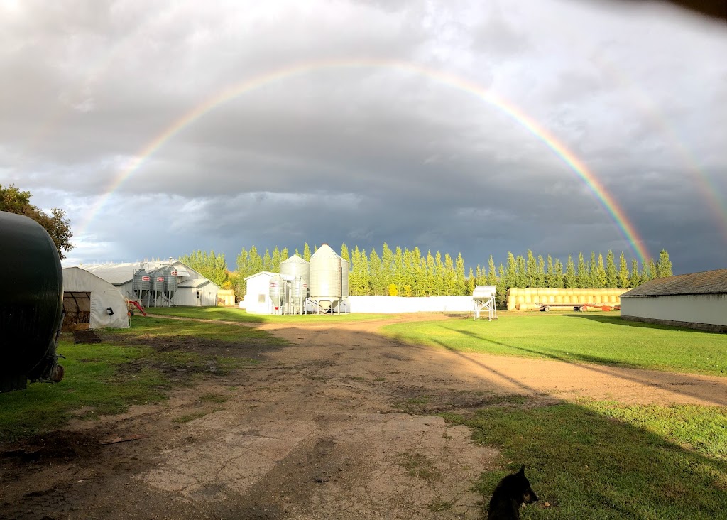 Wiebe’s Family Farm | Box 16, Riding Mountain, MB R0J 1T0, Canada | Phone: (204) 966-7791