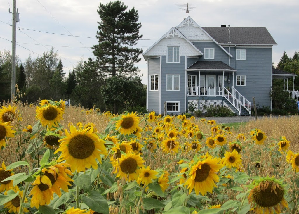 Le Jardin des Mésanges | 482 Route Fortier, Saint-Cyprien, QC G0R 1B0, Canada | Phone: (418) 383-5777