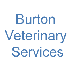 Burton Veterinary Services | 28481 Starr Rd, Abbotsford, BC V4X 2C5, Canada | Phone: (604) 856-4166