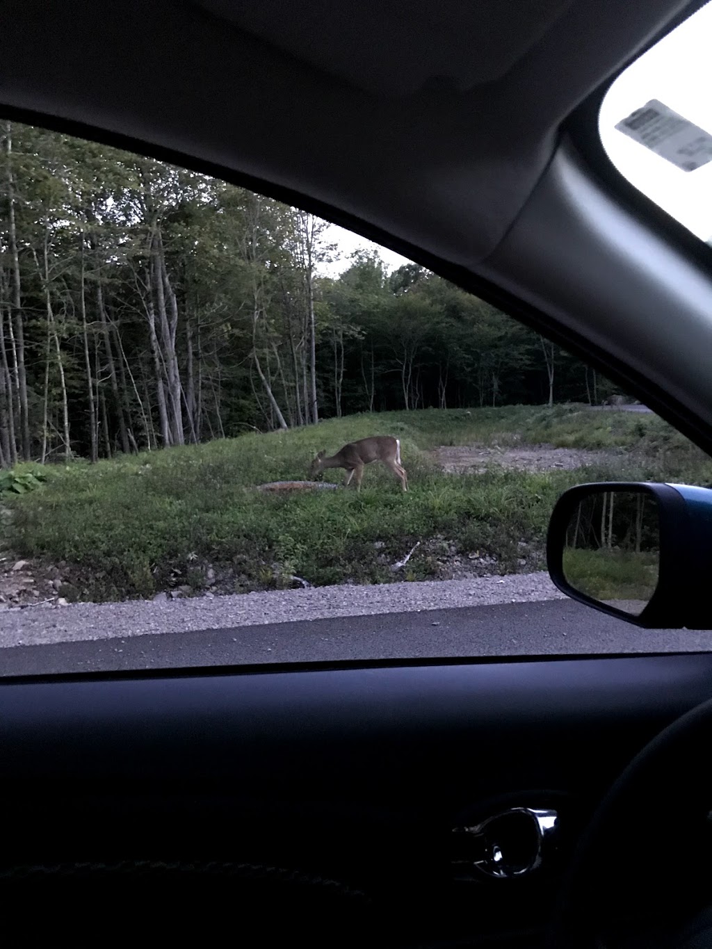 Parc de lAlizé | Saint-Colomban, QC J5K 1J9, Canada