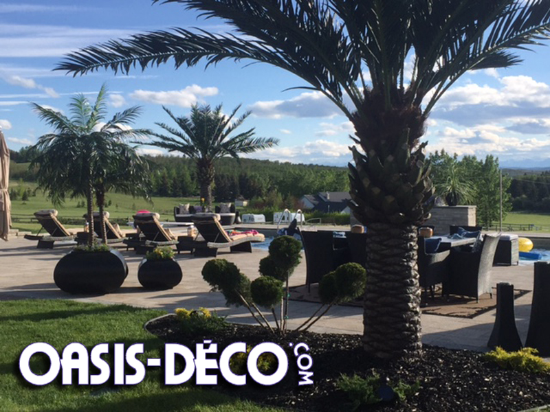 Oasis-Deco | 742 Boulevard Industriel #104, Blainville, QC J7C 3V4, Canada | Phone: (514) 248-0928