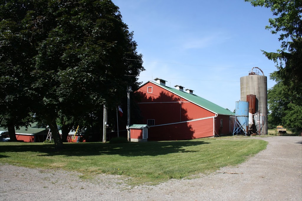 Udderly Ridiculous Farm Life | 906200 Township Rd 12, Bright, ON N0J 1B0, Canada | Phone: (548) 225-1005