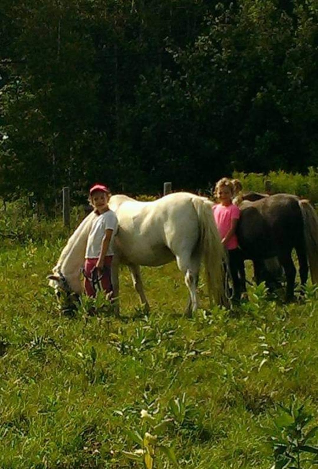 Animation Poney En Fête | #0, Saint-Jérôme, QC J5L 2K7, Canada | Phone: (450) 602-1283