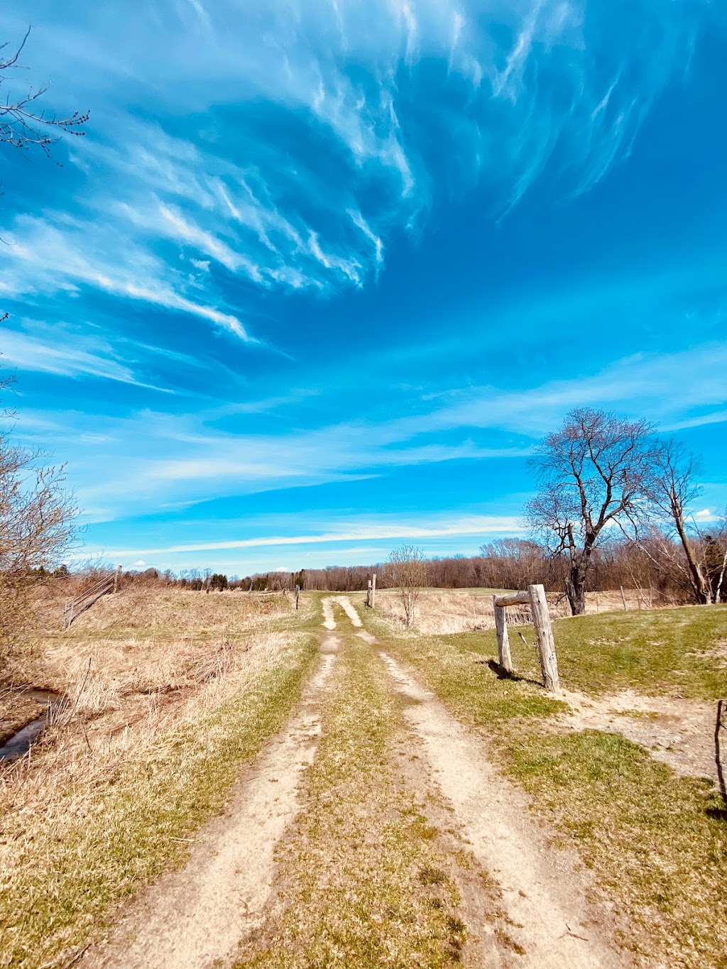 Fermes Terra Agri | 18 Chem. Saint-Henri, Sainte-Marthe, QC J0P 1W0, Canada | Phone: (514) 824-3361