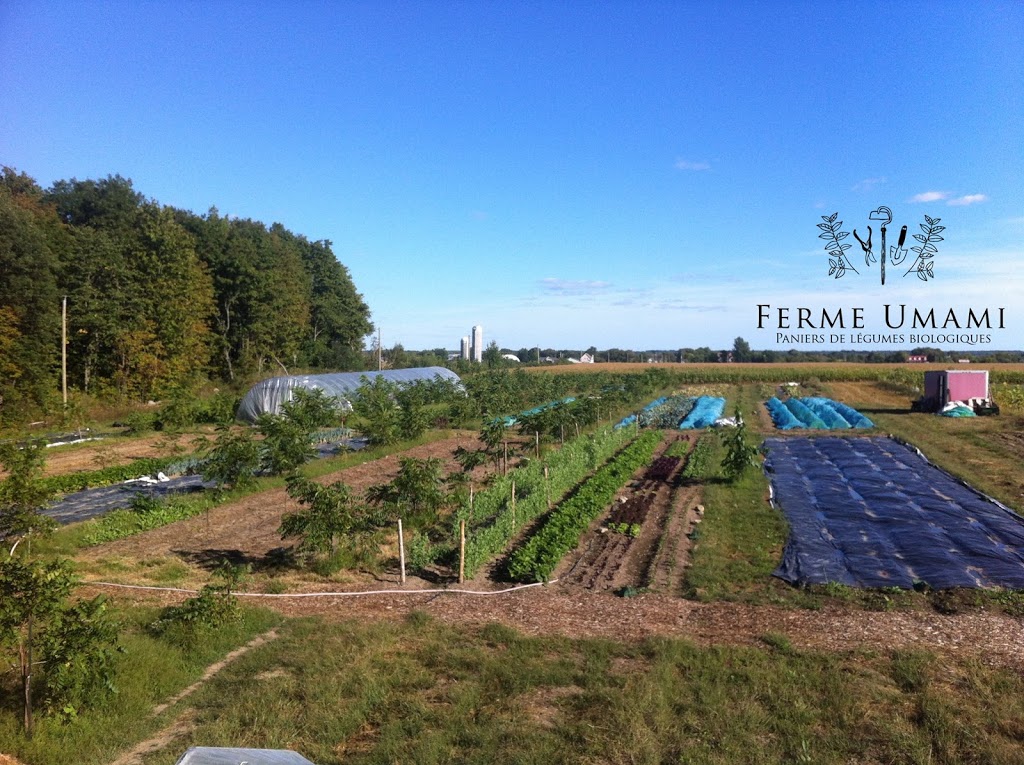 Ferme Umami | 100 Rue Saint-Joseph, Sainte-Martine, QC J0S 1V0, Canada | Phone: (514) 609-1503