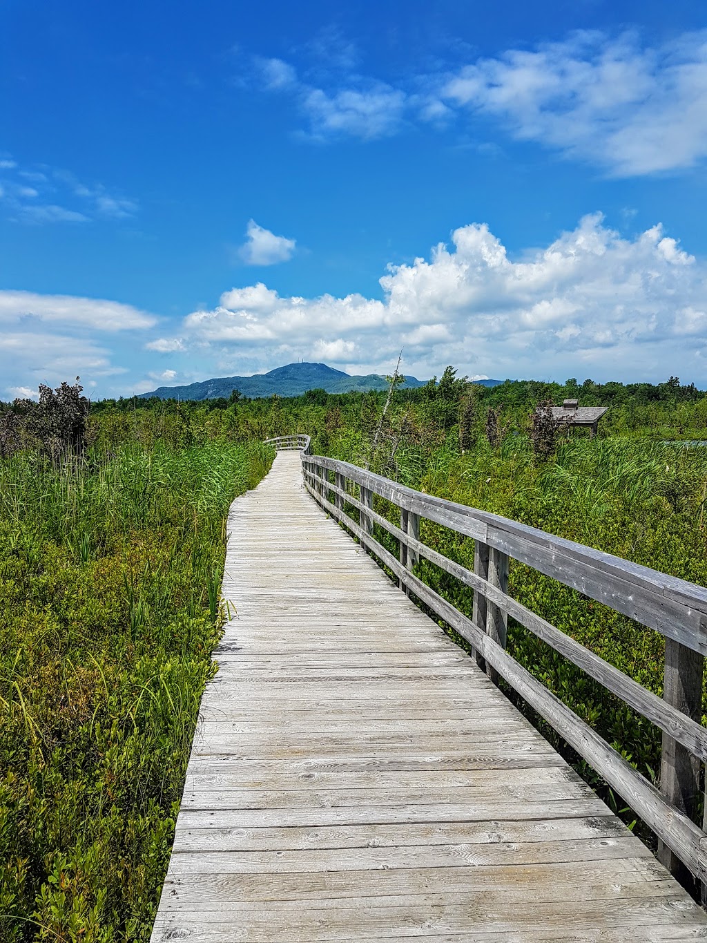 Marais de la Rivière aux Cerises | 69 Chemin Roy, Magog, QC J1X 0N4, Canada | Phone: (819) 843-8118