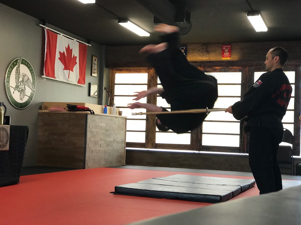 Victoria Hapkido | 3947 Quadra St B, Victoria, BC V8X 1J5, Canada | Phone: (778) 433-0889