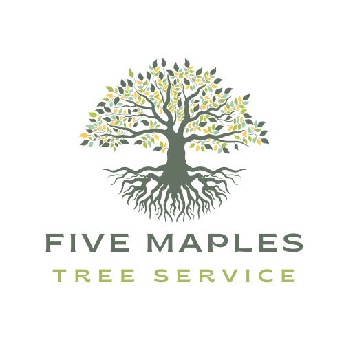 Five Maples Tree Service | 643 Markham Rd, Scarborough, ON M1H 2A7, Canada | Phone: (647) 559-0599