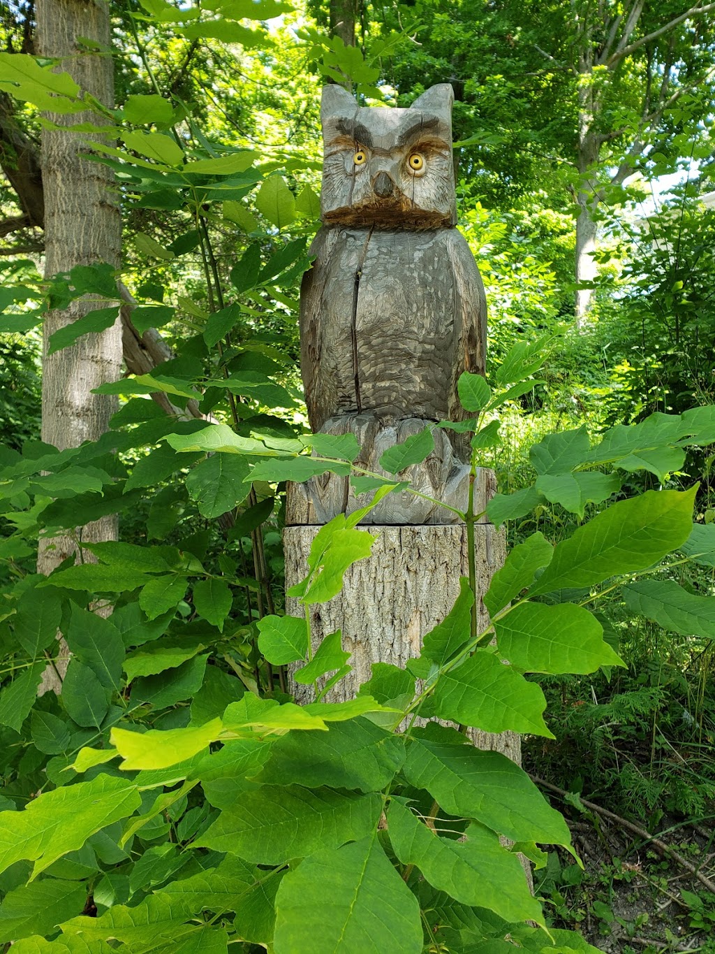 Fairy Lake Rotary Pavilion | Fairy Lake Trail, Southampton, ON N0H 2L0, Canada | Phone: (519) 832-2008