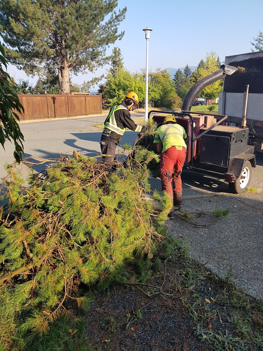 Totem Tree Services | 5189 Compton Rd, Port Alberni, BC V9Y 7B5, Canada | Phone: (250) 730-7770