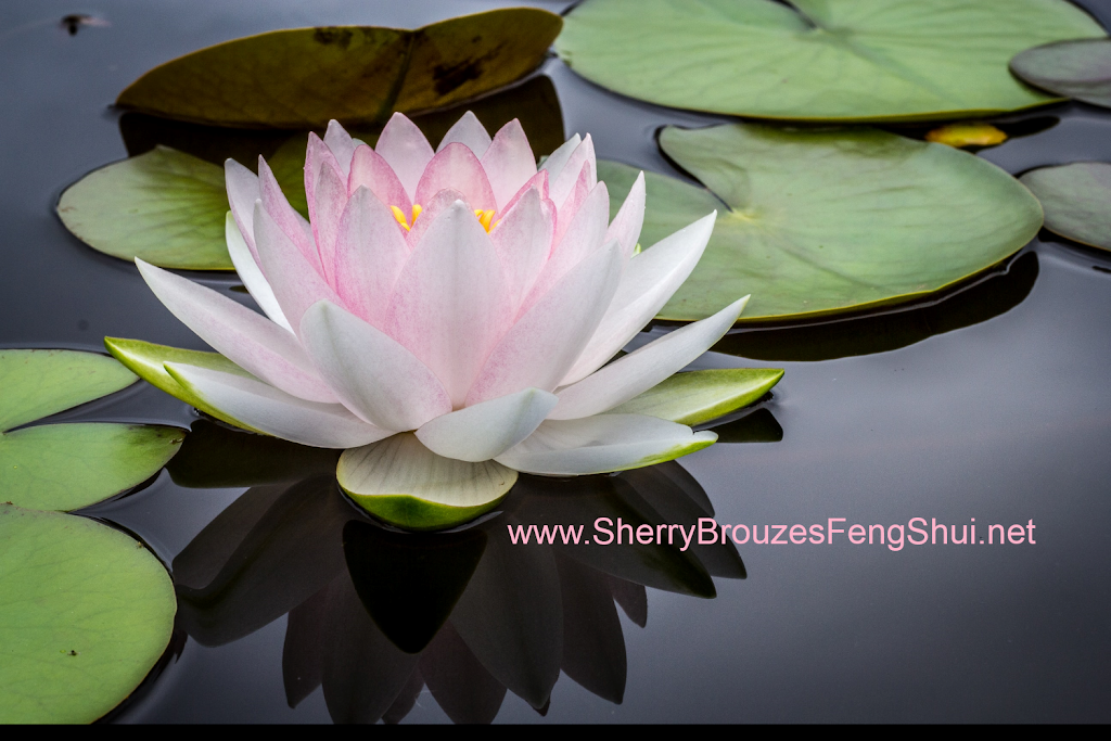 Sherry Brouzes Feng Shui | 75 Michelle Ct, Welland, ON L3C 7J1, Canada | Phone: (289) 820-5116