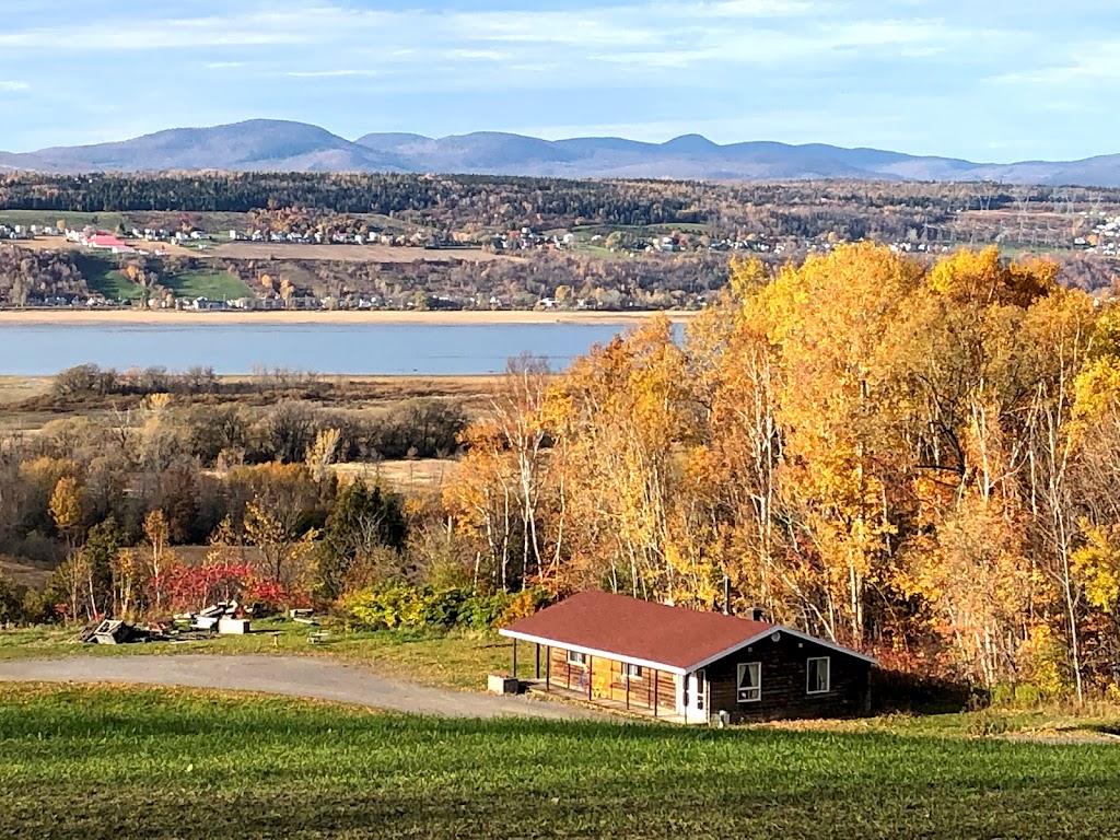 Domaine Orléans | 1067 Chem. Royal, Saint-Pierre, QC G0A 4E0, Canada | Phone: (418) 828-9071