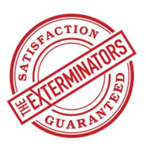 The Exterminators Inc.-  Pest Control Toronto | 50 Carroll St, Toronto, ON M4M 3G3, Canada | Phone: (647) 496-2211