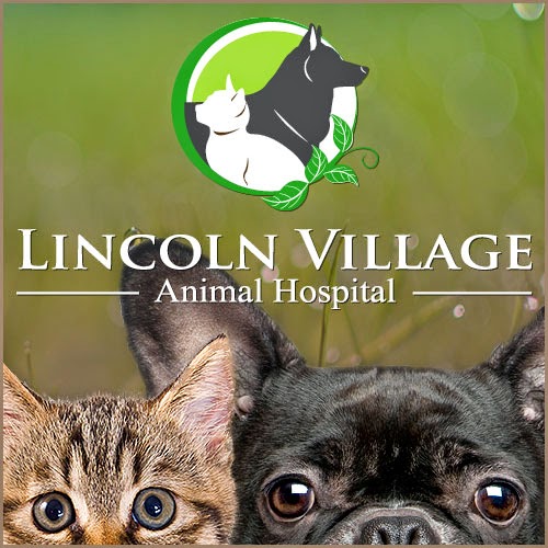 Bridge Street Veterinary Hospital | 370 University Avenue East #101, Waterloo, ON N2K 3N2, Canada | Phone: (519) 746-7557