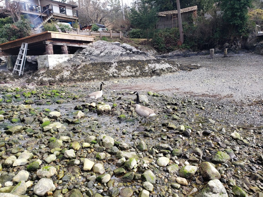 Bowen Bay | Bowen Island, BC, Canada