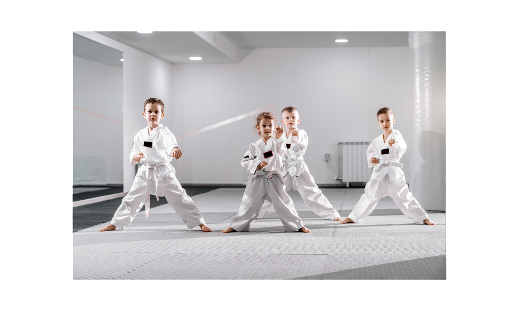 BVO Taekwondo Master Chong | Cougarstone Cir SW, Calgary, AB T3H 4W3, Canada | Phone: (403) 828-5571