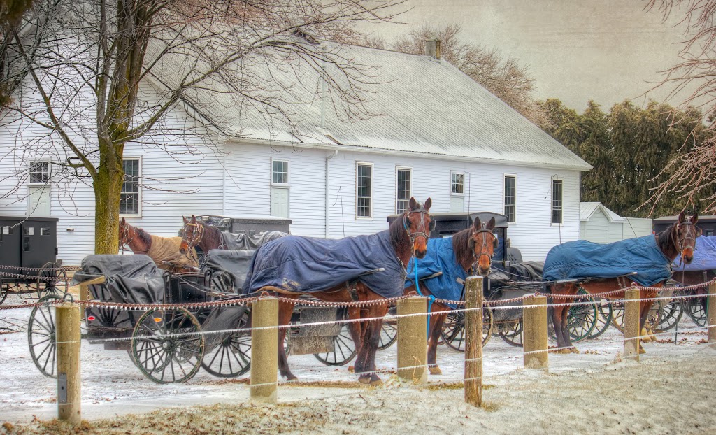 Winterbourne Old Order Mennonite Meetinghouse | Woolwich, ON N0B 2V0, Canada