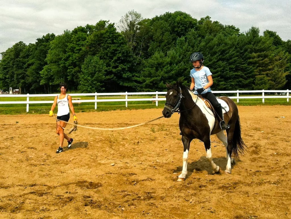 Edenview Equestrian Center | 777 Cambray Rd, Woodville, ON K0M 2T0, Canada | Phone: (705) 934-0979