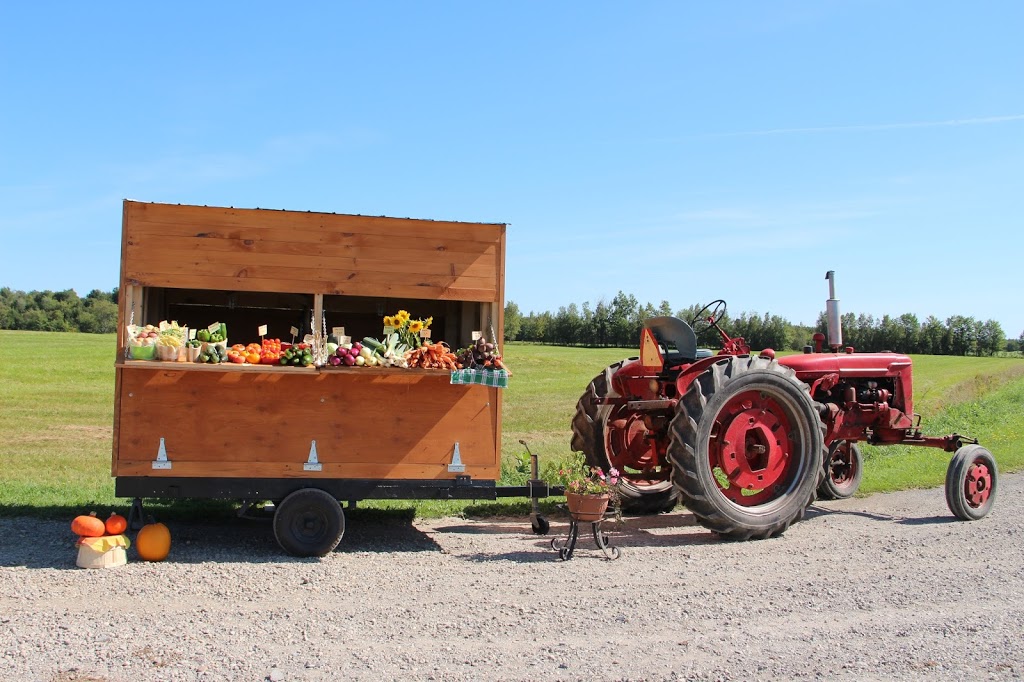 Le Paysan Gourmand | 40 Chemin des Domaines, Saint-Félix-de-Kingsey, QC J0B 2T0, Canada | Phone: (819) 470-8051