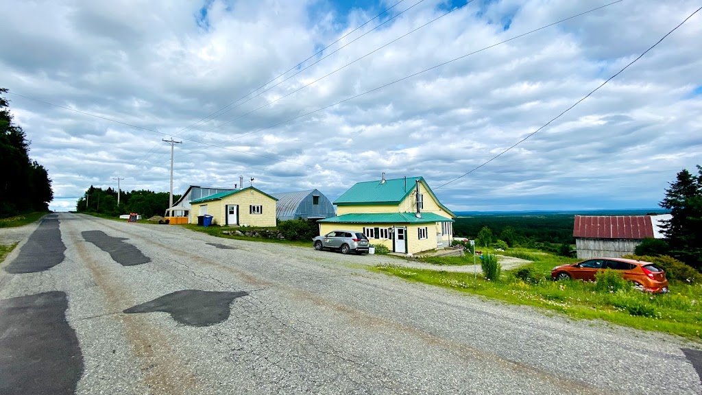 La Ferme Flanc Sud | 60 Rang Saint-Jean-Baptiste, Saint-Fabien-de-Panet, QC G0R 2J0, Canada | Phone: (418) 408-0084