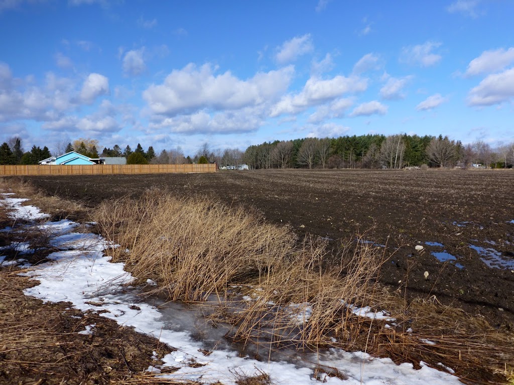 Birks Natural Heritage Consultants | 398 McDonnel St Unit# 4, Peterborough, ON K9H 2X4, Canada | Phone: (705) 309-6643