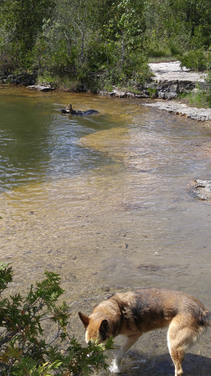 Fletcher Creek Ecological Preserve | Concession Rd 7, Puslinch, ON N0B 2J0, Canada