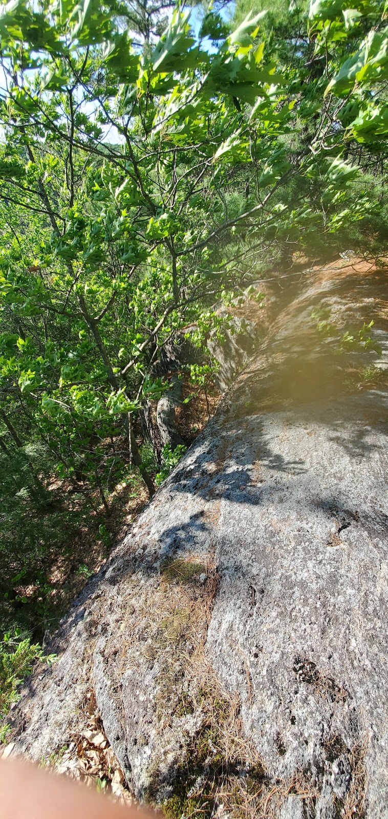 Circuit of Five Viewpoints Trailhead | 2029 Little Hawk Lake Rd, Algonquin Highlands, ON K0M 1J2, Canada | Phone: (705) 766-9033