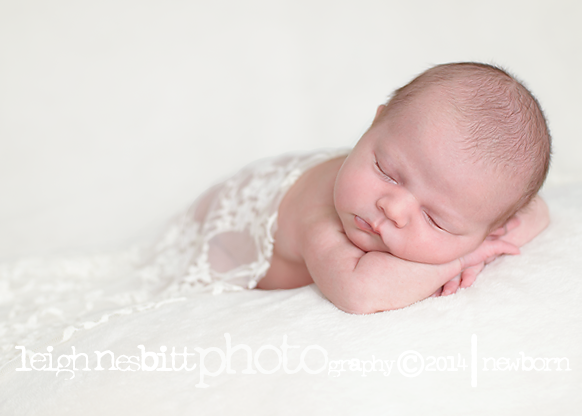 Leigh Nesbitt Photography | 16 Campbell Rd, Stonewall, MB R0C 2Z0, Canada | Phone: (204) 467-8765