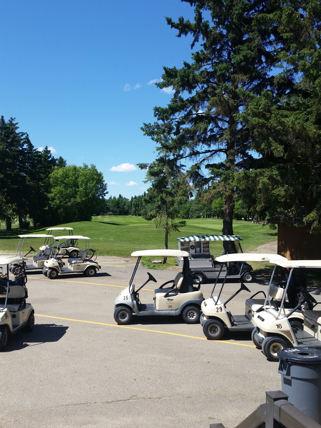 Twin Willows Golf Club | 14110 156 St NW, Edmonton, AB T6V 1J2, Canada | Phone: (780) 447-2934