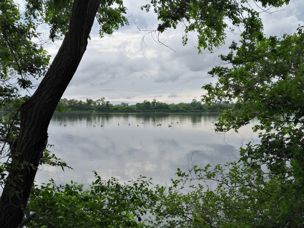 Parc Saint-Laurent | Rue des Saules, Brossard, QC J4X 2X4, Canada