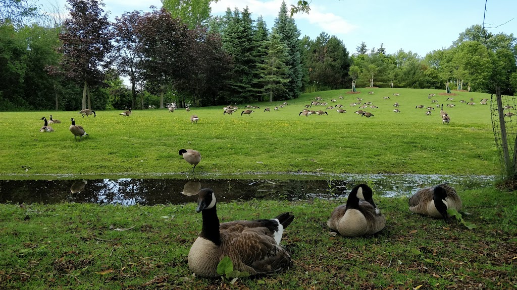 Crosby Park | Unionville, ON L3R 1W5, Canada