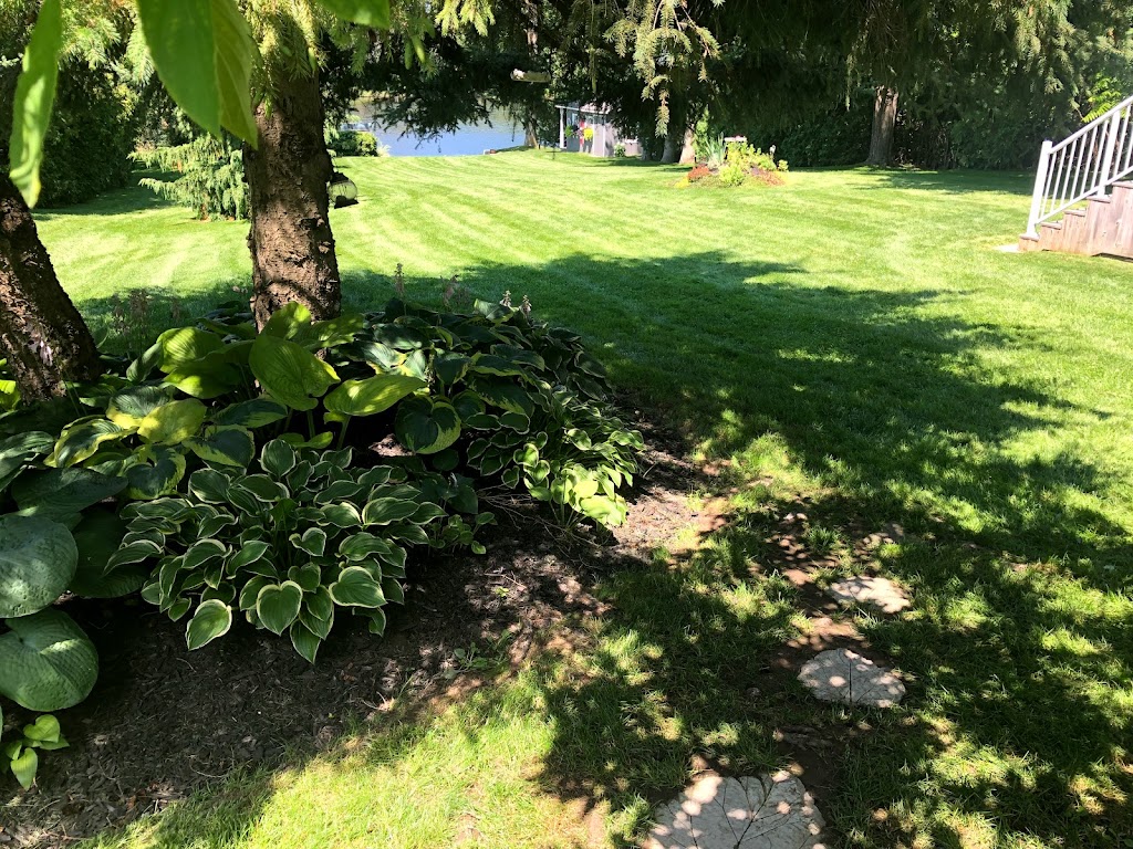 Peterborough Professional Lawn Care & Property Maintenance | 317 Mason Ave, Peterborough, ON K9H 4W4, Canada | Phone: (905) 925-2503