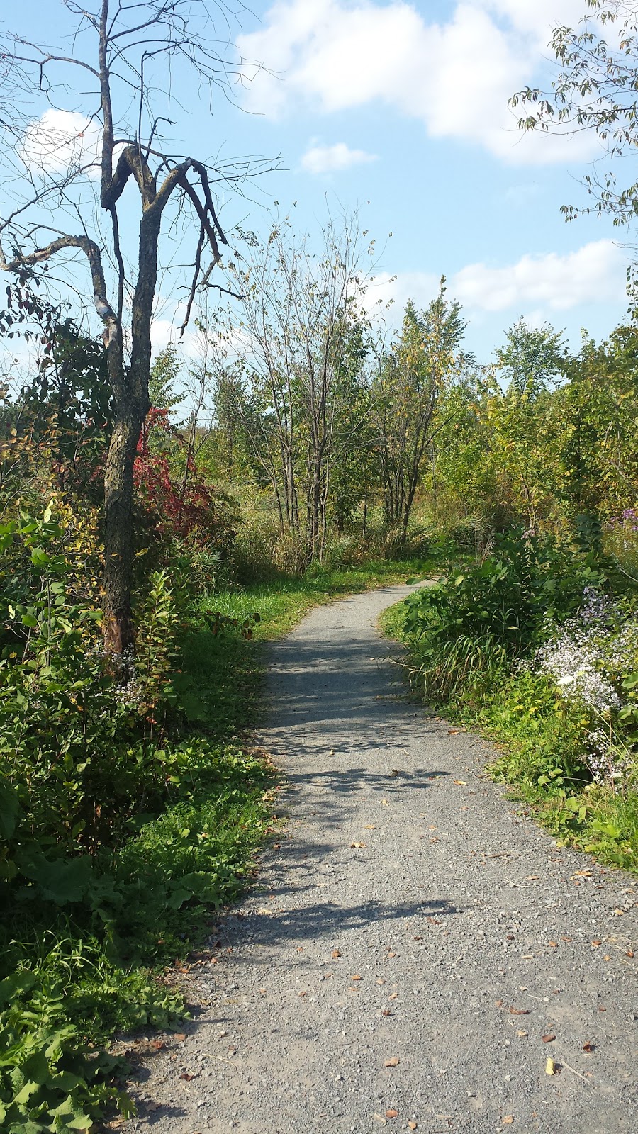 Beryl Gaffney Park | Ottawa, ON K2G, Canada