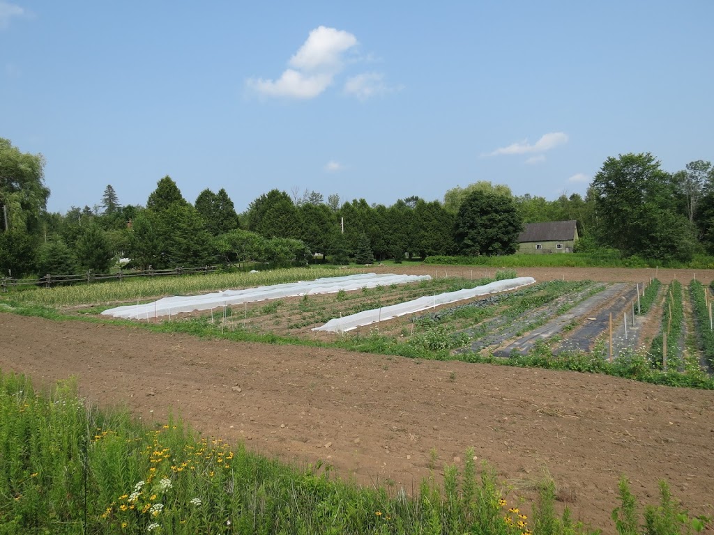 Ferme Biopol | 562 Mnt St Henri, Sainte-Marthe, QC J0P 1W0, Canada | Phone: (450) 322-1005