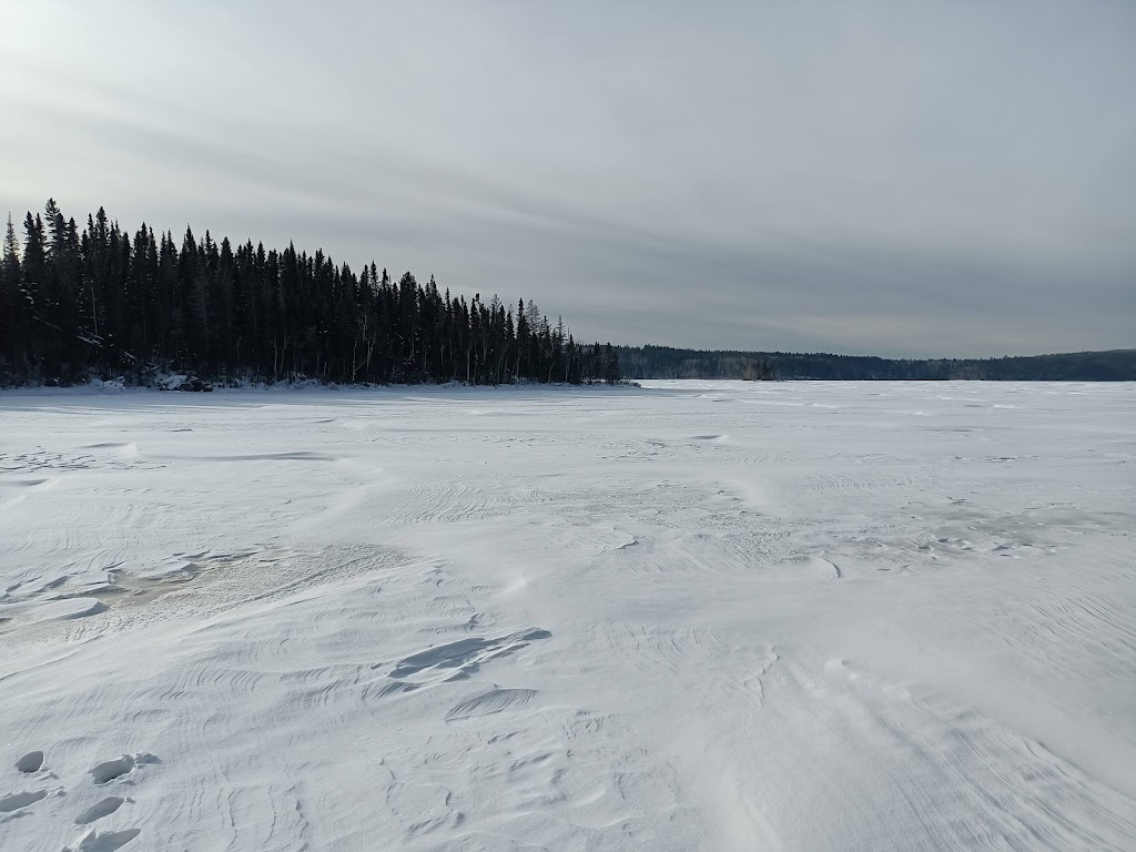 Résidence touristique Lodge des Bois | 270 Sent. Jean, Saint-Félix-dOtis, QC G0V 1M0, Canada | Phone: (418) 376-4671