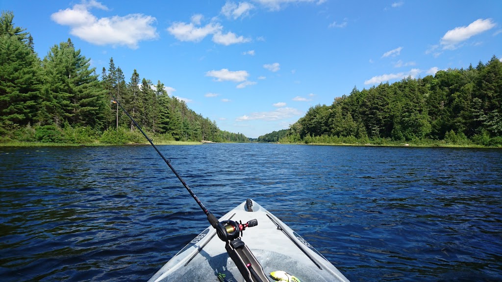 Rock Lake Campground Office | Algonquin Highlands, ON K0M 1J1, Canada | Phone: (705) 633-5572