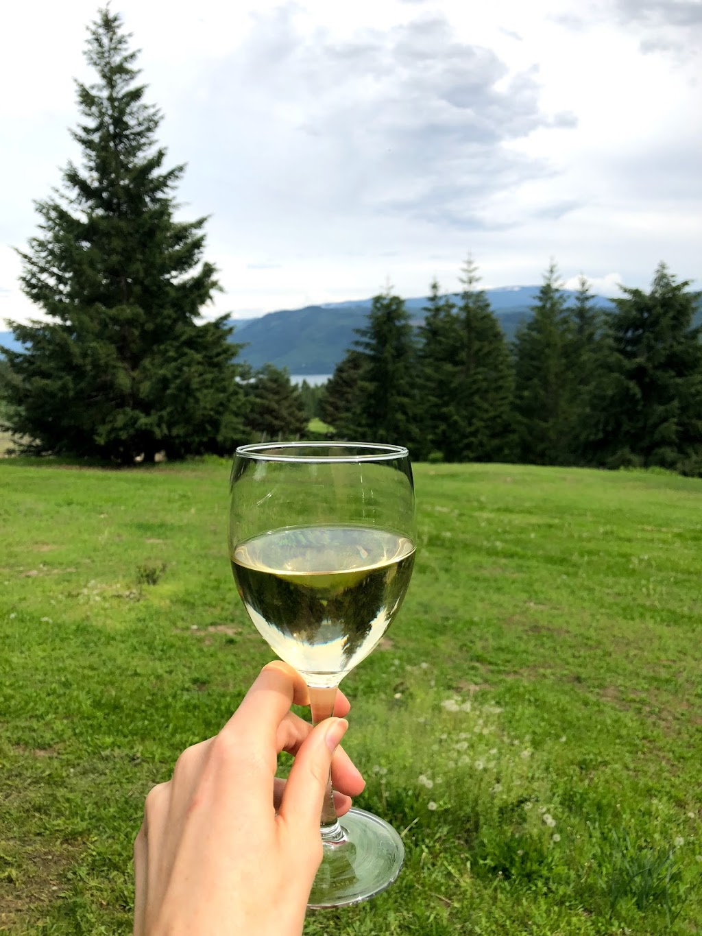 Celista Estate Winery | 2319 Beguelin Road, Celista, BC V0E 1L0, Canada | Phone: (250) 955-8600