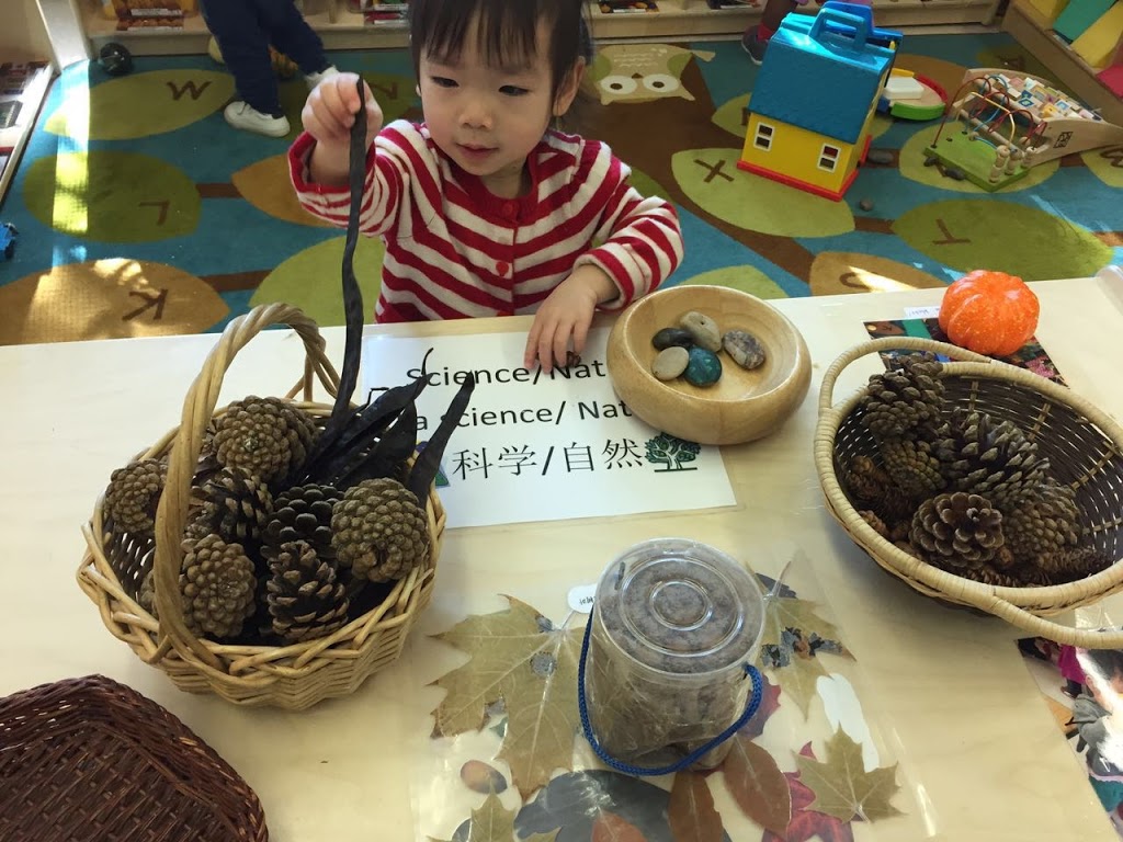 JINGBAO Mandarin Bilingual Nursery - North York | 3105 Don Mills Rd, North York, ON M2J 3C2, Canada | Phone: (416) 494-4105